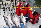 Striper fishing guide service